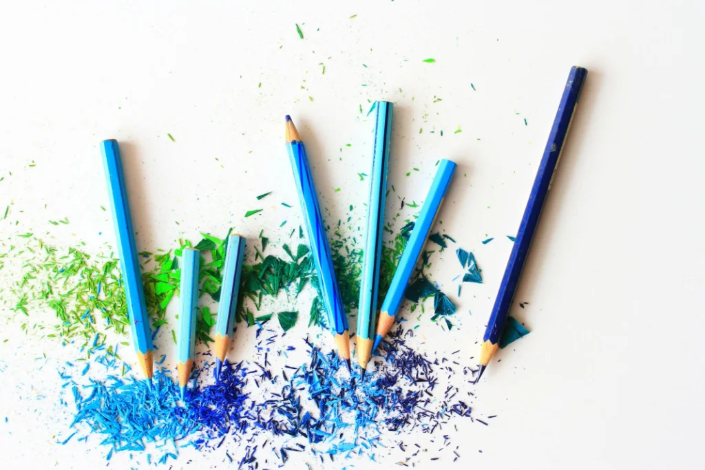 Biometric Access Facility